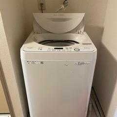 sharp 2019年製　縦型洗濯機ES-GD5D