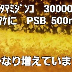 No.15　3万匹　タマミジンコ　オマケに　PSB  500ml