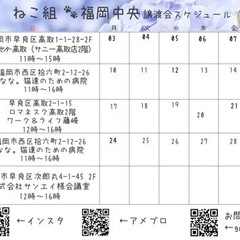 6/16 ねこ組🐾福岡中央譲渡会　ワーク＆ライフ藤崎