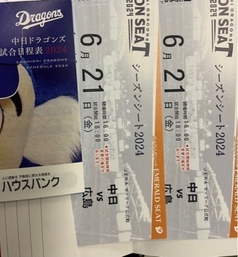 プロ野球　ナゴヤドーム　中日vs広島\n