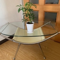 ソファテーブル・観葉植物セット