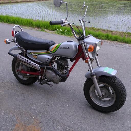 ノーティーダックス 実動車 ホンダ 縦型