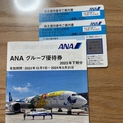 【ネット決済・配送可】【郵送対応可】ANA株主優待　飛行機