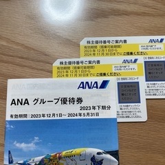 【ネット決済・配送可】【郵送対応可】ANA株主優待　飛行機 