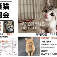 保護猫譲渡会・TNR相談会in静岡市葵区 2024/7/2…