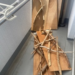 【今週中】木材　生活雑貨 洗濯用品 ハンガー