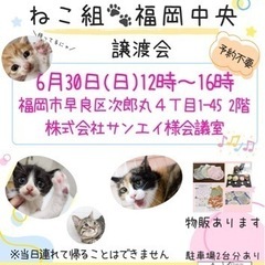 6/30 ねこ組🐾福岡中央譲渡会　（株）サンエイ