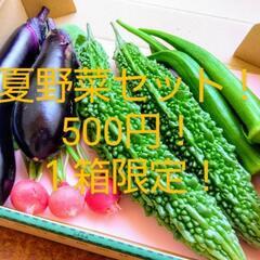 本日最終‼️20%OFF‼️夏野菜セット🥗残り１セット５００円✨
