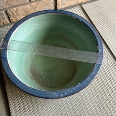 睡蓮鉢 30cm