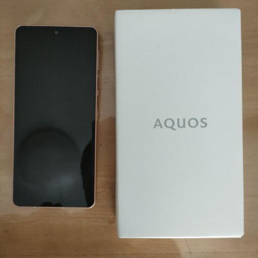 激レア ザ・ゾンビーズ begin here 卸売 UK ORIGINAL 激レア ザ