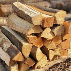 薪ストーブで使える原木探してます。