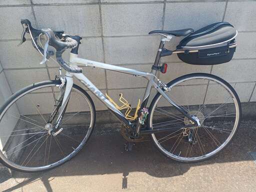 GIANT OCR1 手渡しのみ