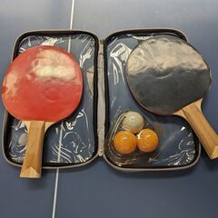 卓球台 抗菌加工 国際規格サイズ 天板18mm