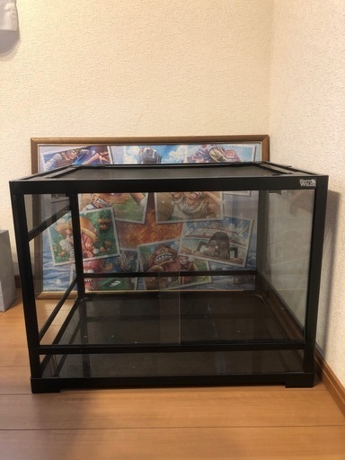 爬虫類ゲージ