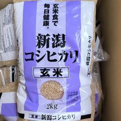 <決まりました締め切ります>20kg 玄米 コシヒカリ 新潟県産...