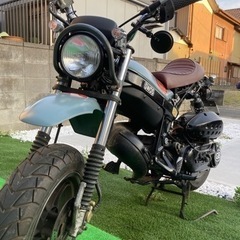 ストリートマジックII50