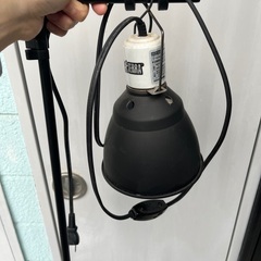 未使用 マックスマーラ Max Mara セットアップ スカートスーツ ウール ノーカラー ジャケット スカート レディース イタリア製 JI40 USA6 FB38 GB(M相当) ブラック-【 中古 】爬虫類 ケージ セット グラステラリウム 90 エキゾテラ コンパクトトップ ライトドーム シェルター