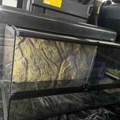 【 中古 】爬虫類 ケージ セット グラステラリウム 90 エキゾテラ コンパクトトップ ライトドーム シェルター