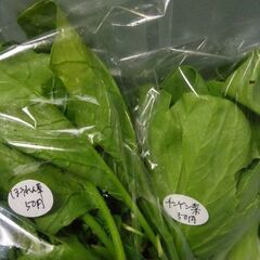 5月21日の新鮮野菜全品50円コーナーの品出し商品予定です。