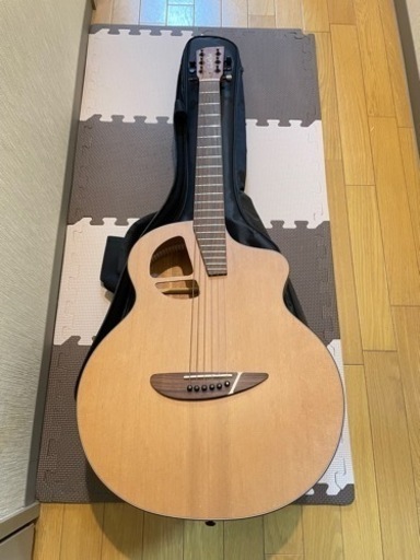 楽器 弦楽器、ギター