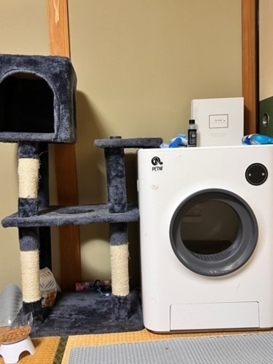 自動トイレとキャットタワーと自動給水器 猫