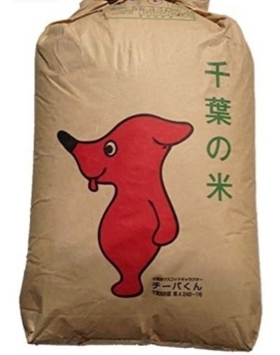 ④千葉県産コシヒカリR5年 玄米 精白米(金額違います)