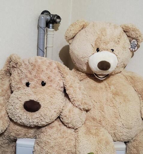 取引完了綺麗め✴️コストコ犬クマPlush Sitting Bear\n\nPLUSH PUPPY HUGFIN