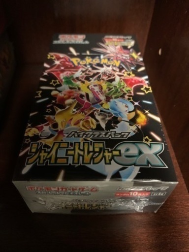 シャイニートレジャー