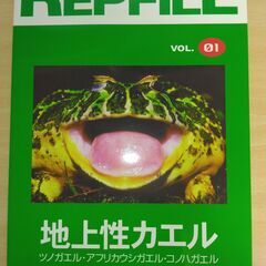 『REPFILE［レプファイル］ VOL.1 ［地上性カエル］』