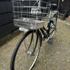 自転車 アルベルト