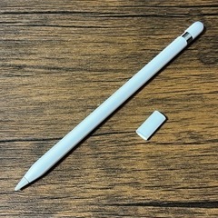 Apple Pencil ジャンク 第1世代 A1603 正規品...