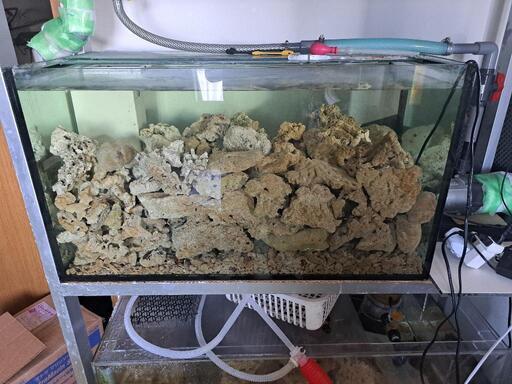 取引中2