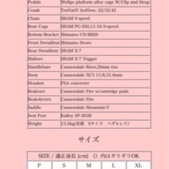 【更に更に値下げ】ジャンク　キャノンデール　F３００　