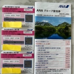ANA株主優待券×3枚〜2025.05.31　ANAグループ優待...