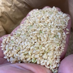 玄米 米 30kg