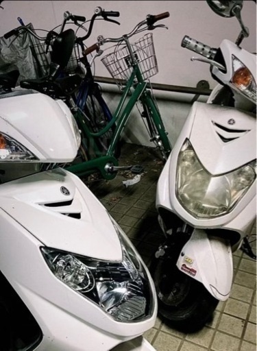 シグナス2型 国内 値下げ可 2025年最新】Yahoo!オークション -シグナス