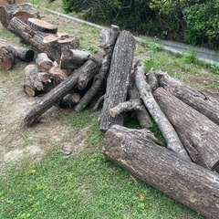 薪ストーブ、焚き火　広葉樹
