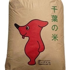 31(金)千葉県産コシヒカリR5年 玄米 15kg