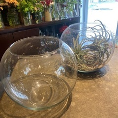 ガラス　水槽　花瓶　１つ1000円
