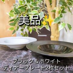 取引決定【ディナープレート2枚セット】パスタ・スープ皿