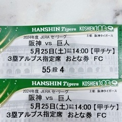 5月25日 阪神vs巨人のチケット