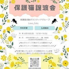 ☆ 猫の譲渡会 ☆ 6/16(日) 名古屋 中村生涯学習センター