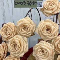 ?胡蝶蘭、ひのきろうず