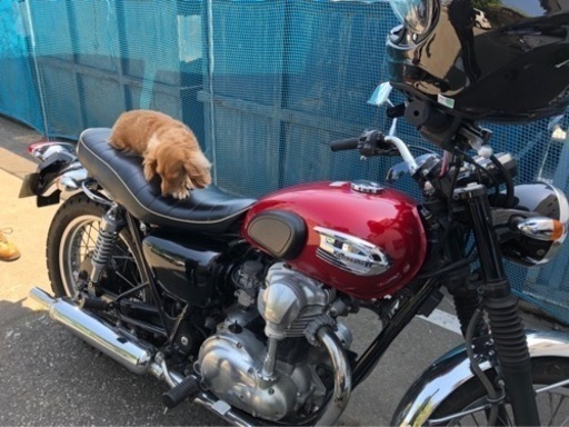 その他 KAWASAKI W400