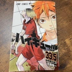 ハイキュー！！33.5 本/CD/DVD マンガ、コミック、アニメ