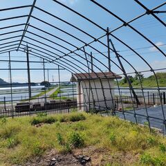 ビニールハウス　農業ハウス　6ｍ×8.6ｍ