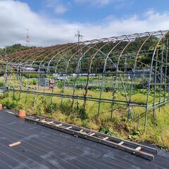 ビニールハウス　農業ハウス　6ｍ×8.6ｍ