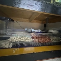 6月1日まで】アクリル水槽（1500×900×500）