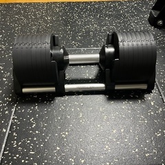 フレックスベル 正規品 可変式ダンベル 32kg / 2kg刻み　2個セット