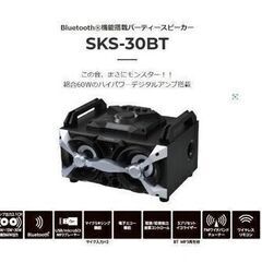新品未使用　ORION Party Speaker SKS-30...